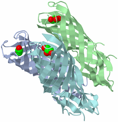 Image Biological Unit 9