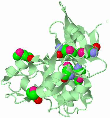 Image Biological Unit 2