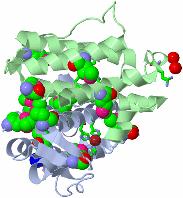 Image Asym./Biol. Unit - sites