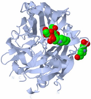 Image Biological Unit 1