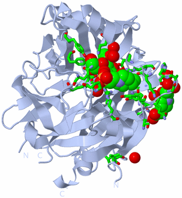 Image Biol. Unit 1 - sites