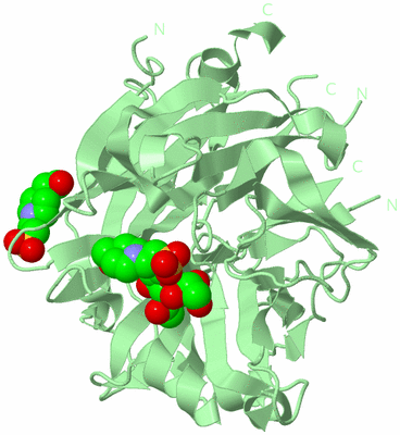 Image Biological Unit 2