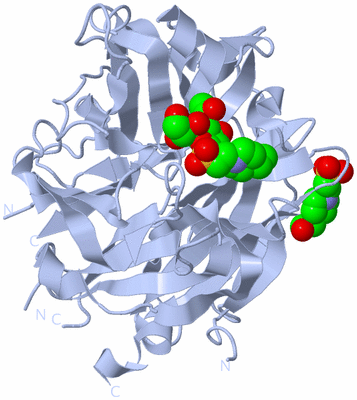 Image Biological Unit 1