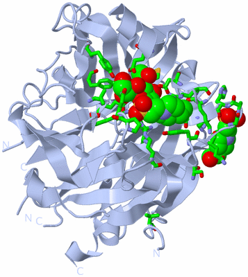 Image Biol. Unit 1 - sites