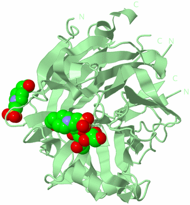 Image Biological Unit 2