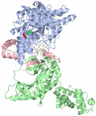 Image Asym./Biol. Unit