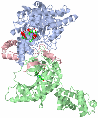 Image Asym./Biol. Unit - sites