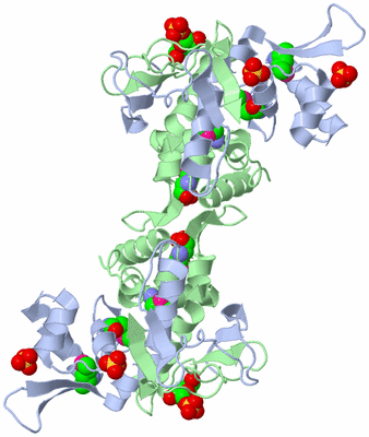 Image Biological Unit 2