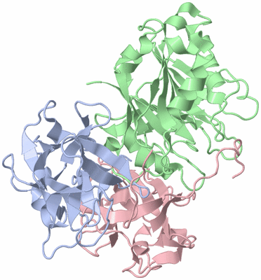 Image Biological Unit 1