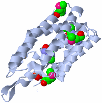 Image Biological Unit 1