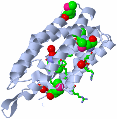 Image Biol. Unit 1 - sites