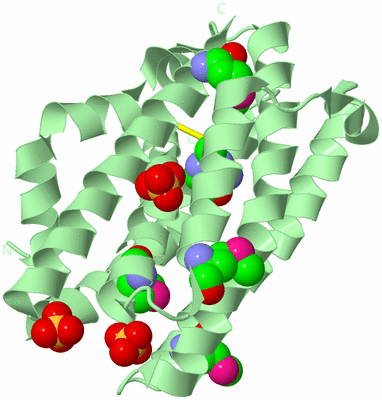 Image Biological Unit 2