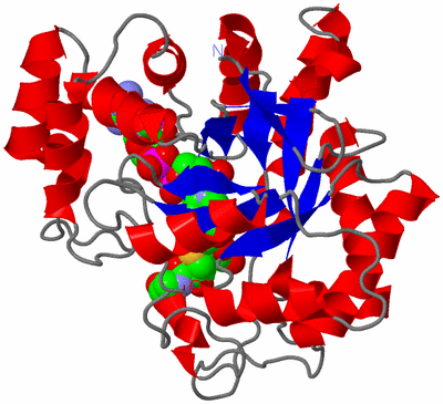 Image Asym./Biol. Unit