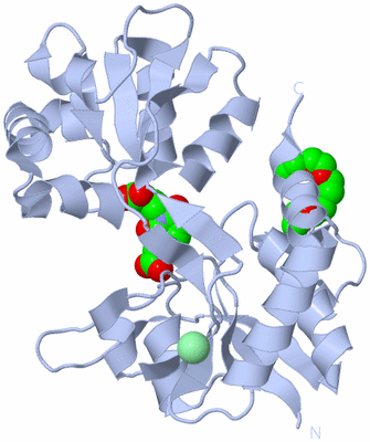 Image Biological Unit 1