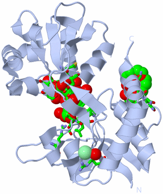 Image Biol. Unit 1 - sites