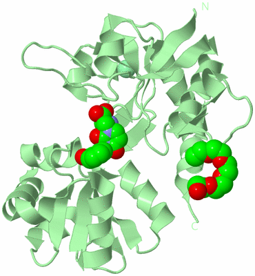 Image Biological Unit 2