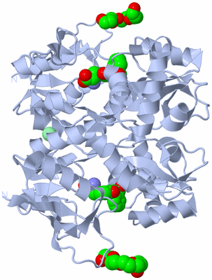 Image Biological Unit 3