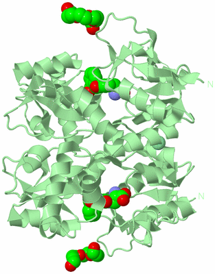 Image Biological Unit 4