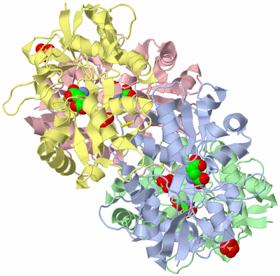 Image Asym./Biol. Unit