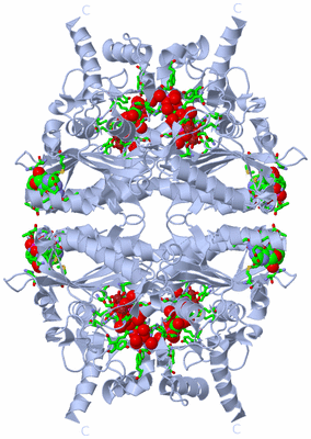 Image Biol. Unit 1 - sites