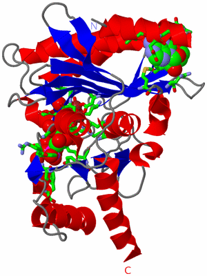 Image Asym. Unit - sites