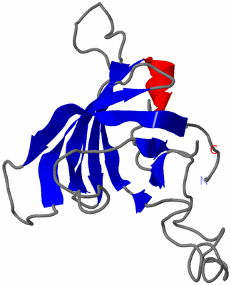 Image NMR Structure - model 1