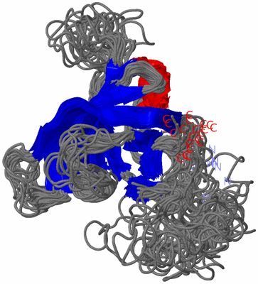 Image NMR Structure - all models