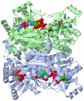 Image Biological Unit 1