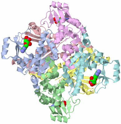 Image Asym./Biol. Unit