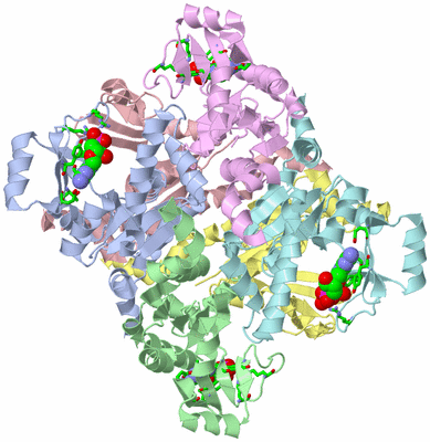 Image Asym./Biol. Unit - sites