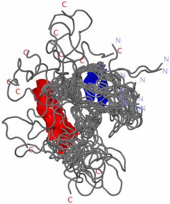 Image NMR Structure - all models