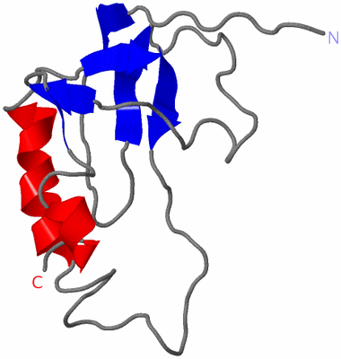 Image NMR Structure - model 1