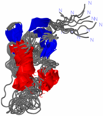 Image NMR Structure - all models