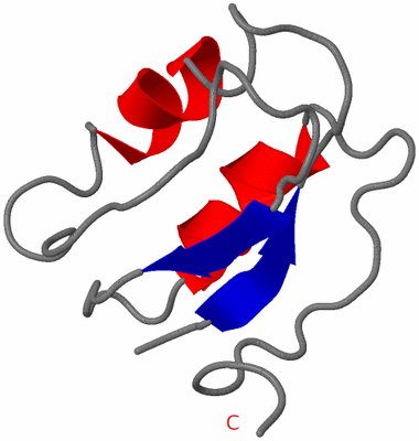 Image NMR Structure - model 1