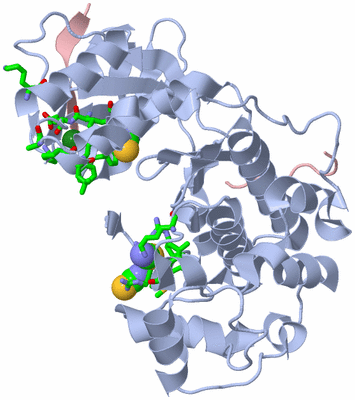 Image Biol. Unit 1 - sites