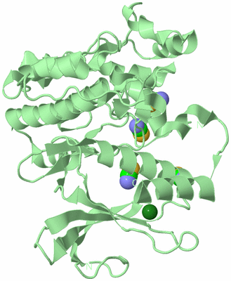 Image Biological Unit 2