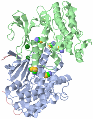 Image Biological Unit 3