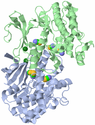 Image Biological Unit 4