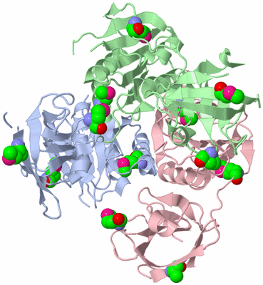 Image Biological Unit 1