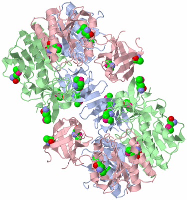 Image Biological Unit 2
