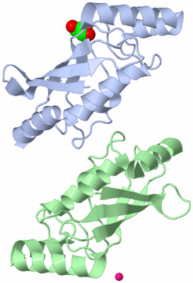 Image Asym./Biol. Unit