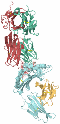 Image Biological Unit 2