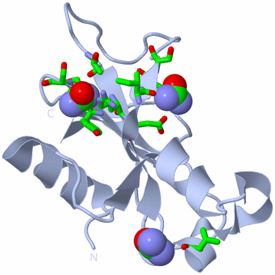 Image Biol. Unit 1 - sites