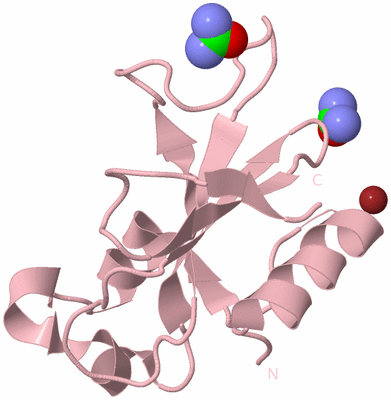 Image Biological Unit 3