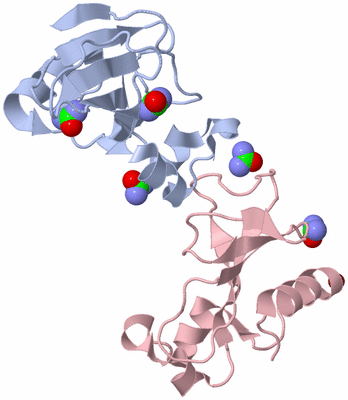 Image Biological Unit 4