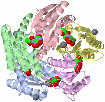 Image Biological Unit 1