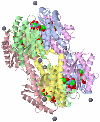 Image Biological Unit 2