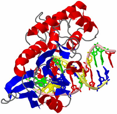 Image Asym./Biol. Unit