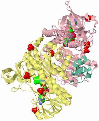 Image Biological Unit 2