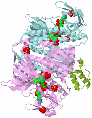 Image Biological Unit 3